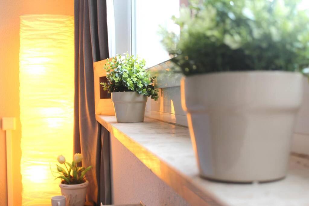 Apartment Bella 켐니츠 외부 사진